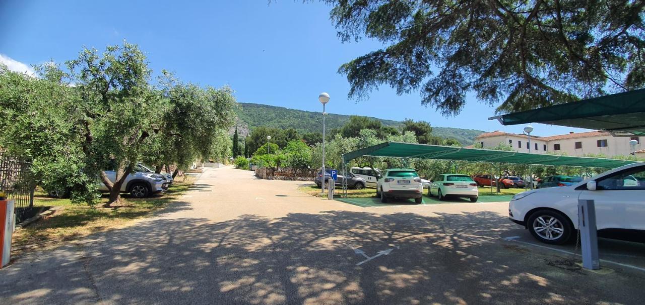 Apartment Franceska *